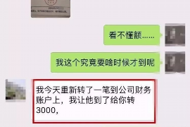 金珠巩汉林范伟要账：一场娱乐圈的债务风波