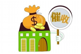 暴力催收下的应对策略：如何合理应对不还款问题