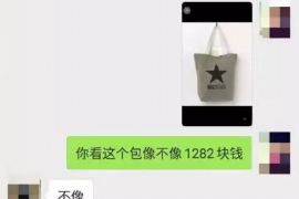 山东清数公司：引领数据驱动决策的先锋力量